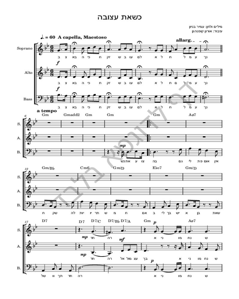 כשאת עצובה-image