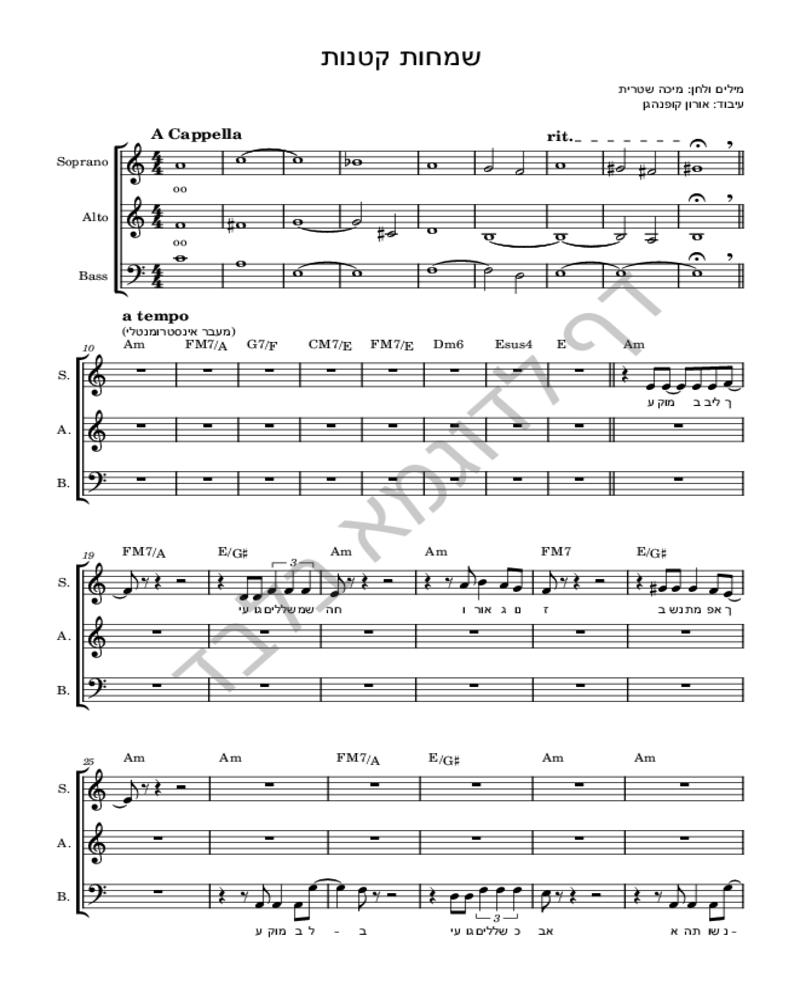 שמחות קטנות-image