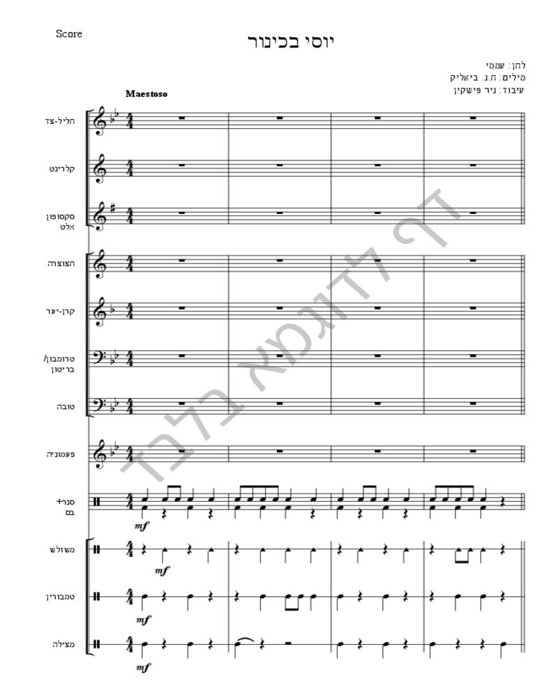 יוסי בכינור-image